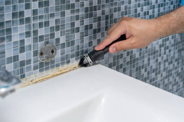 Best Basement Mold Remediation in Ransom Canyon, TX