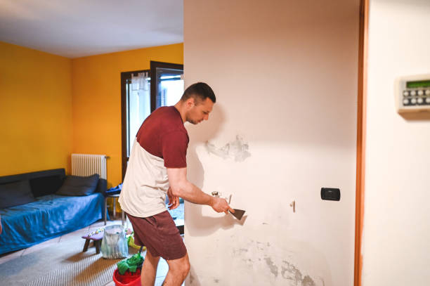 Best Insurance-Related Mold Remediation in Ransom Canyon, TX